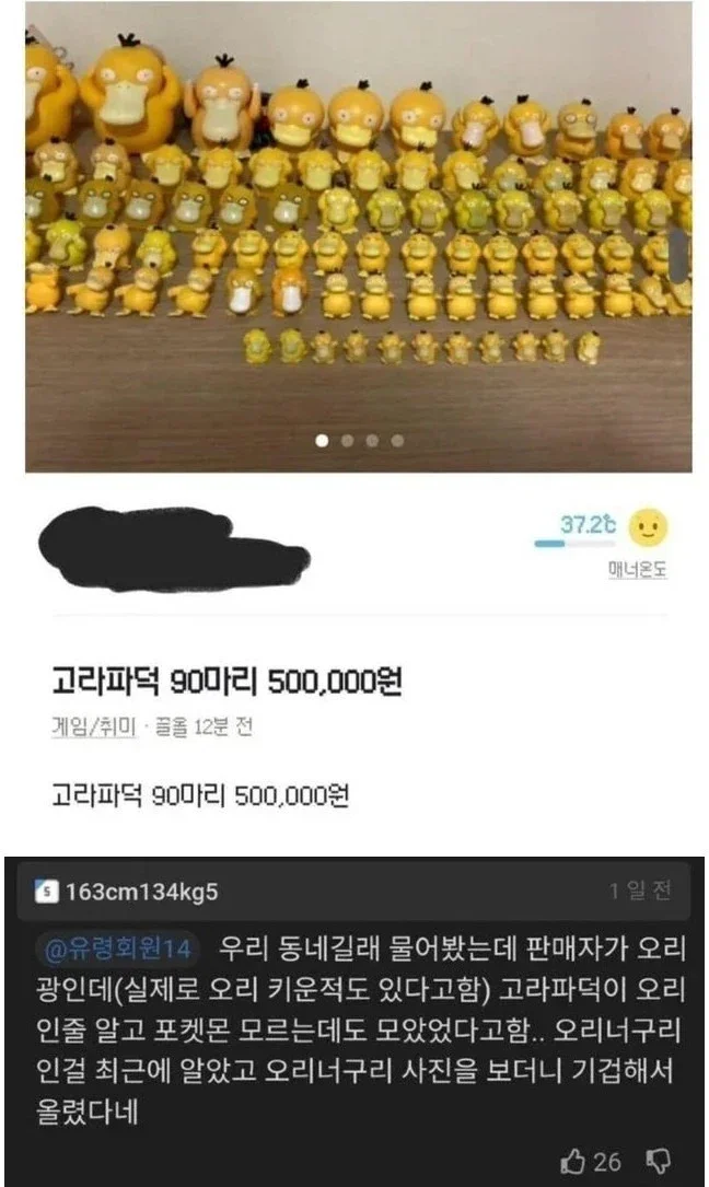 실시간달팽이