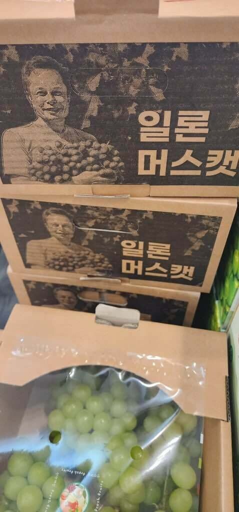 실시간게임