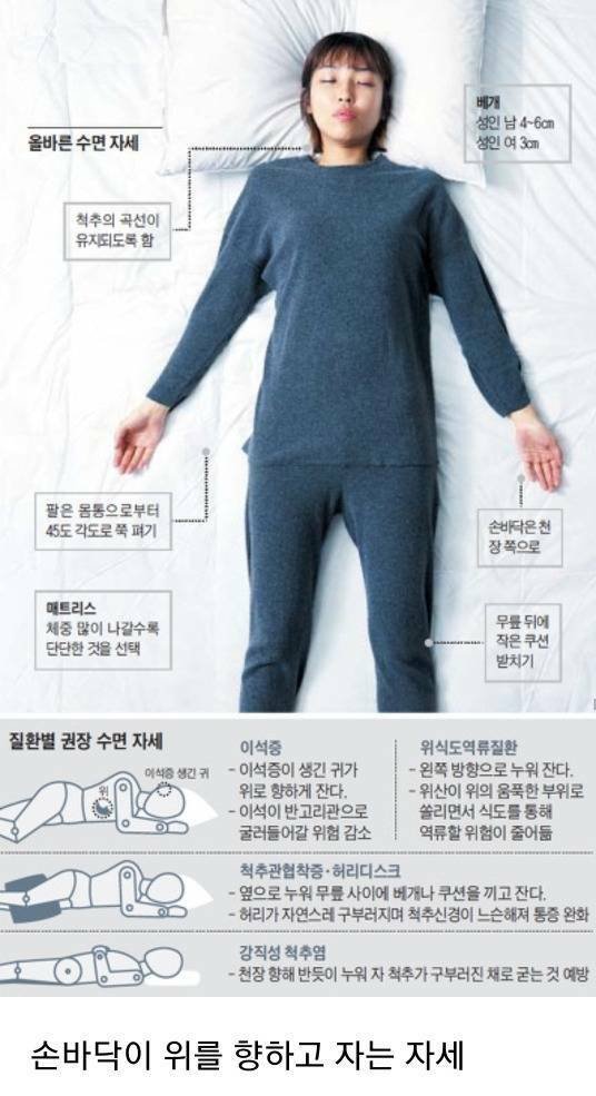 나눔로또 파워볼분석기