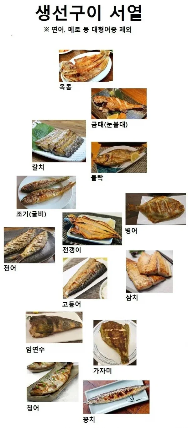 달팽이게임분석기