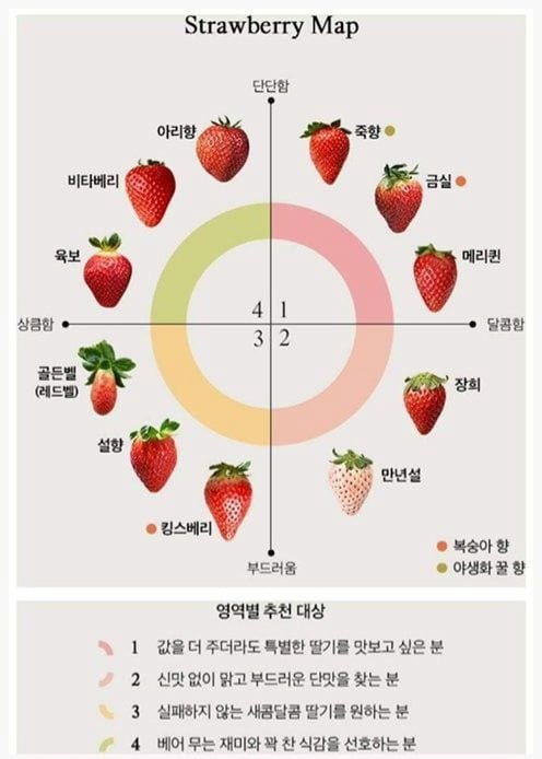 사다리게임통계