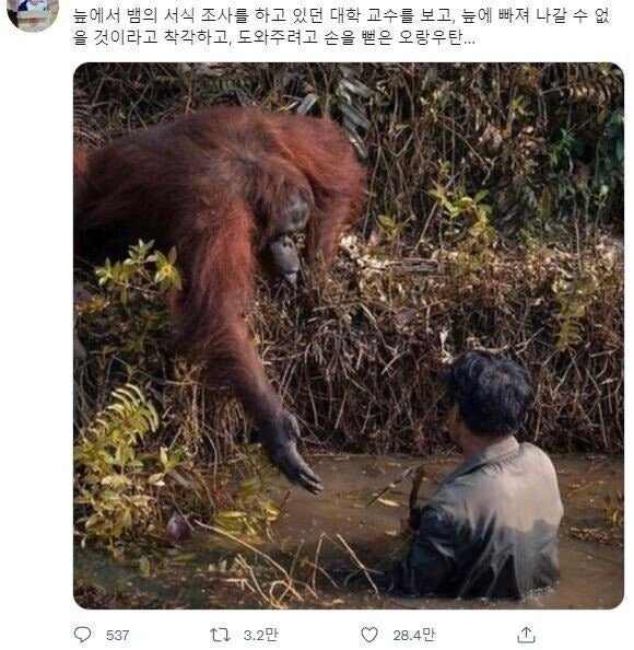 달팽이게임픽분석