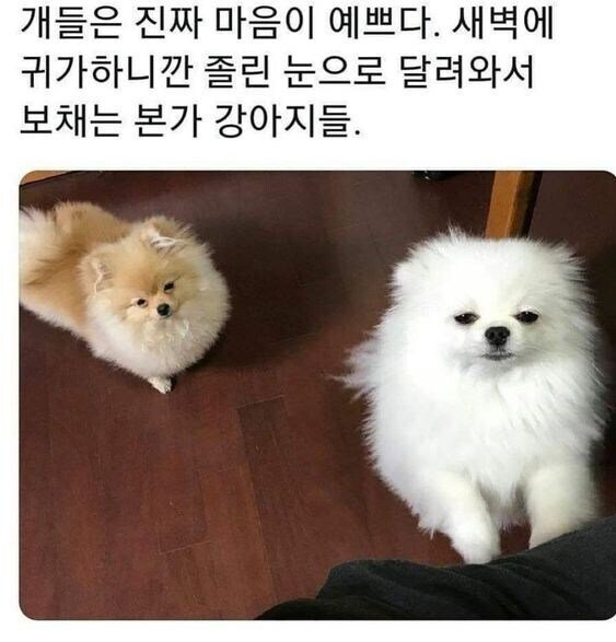 나눔로또