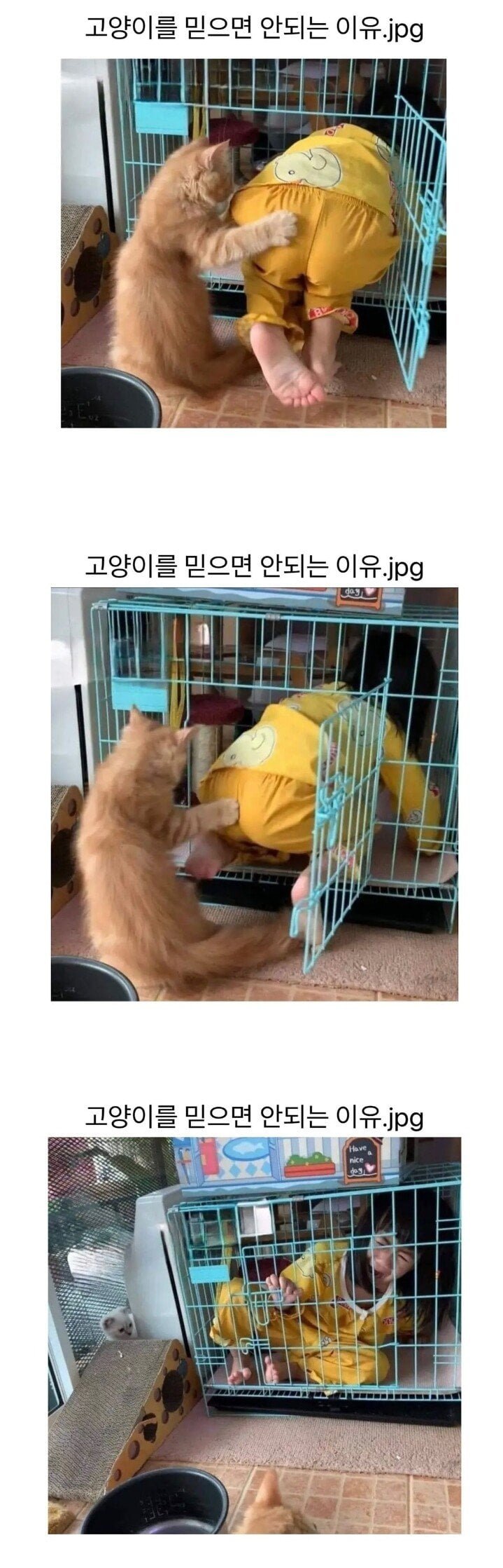 실시간달팽이