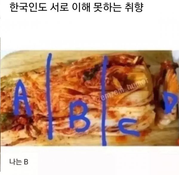 실시간달팽이