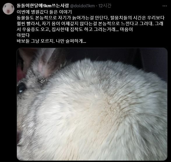 파워볼게임픽