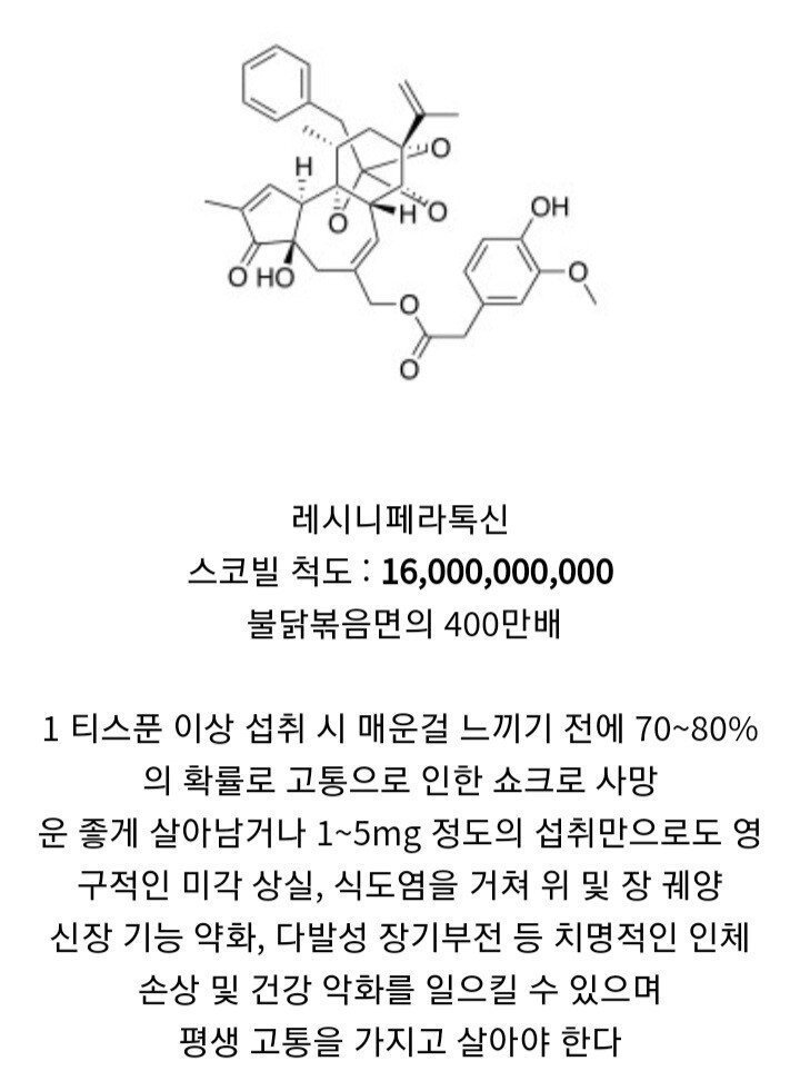 나눔로또