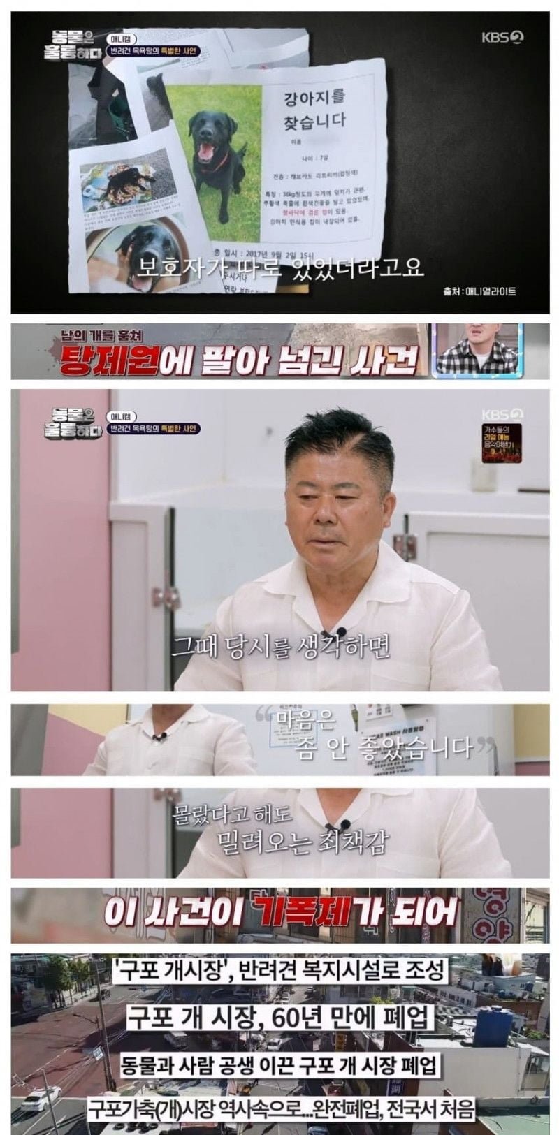 달팽이게임분석기