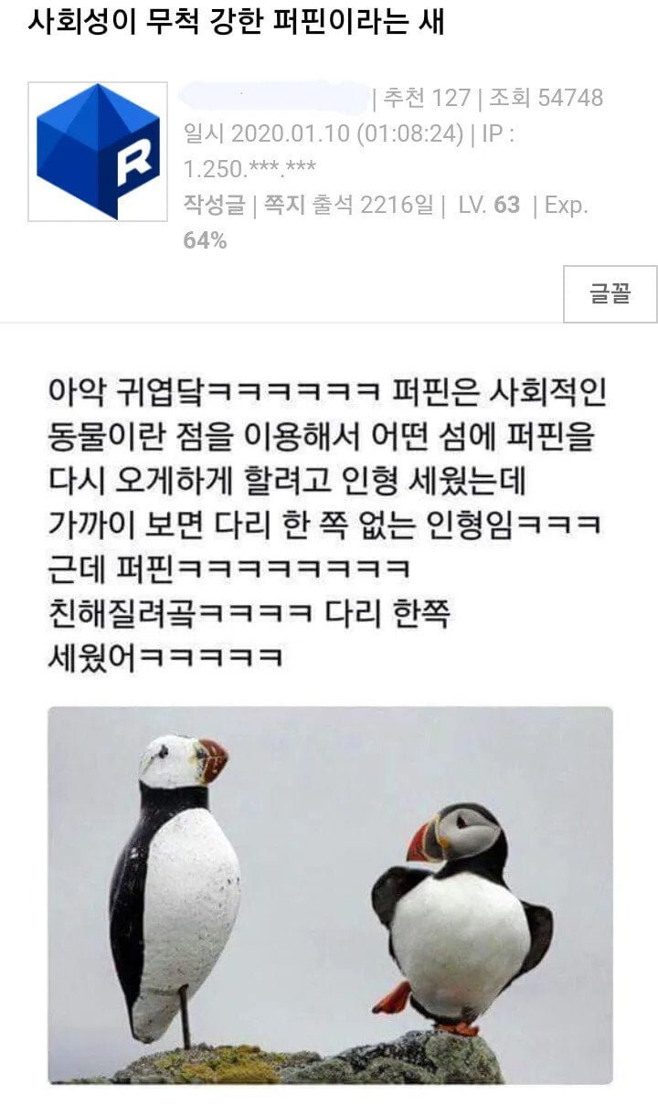 실시간달팽이