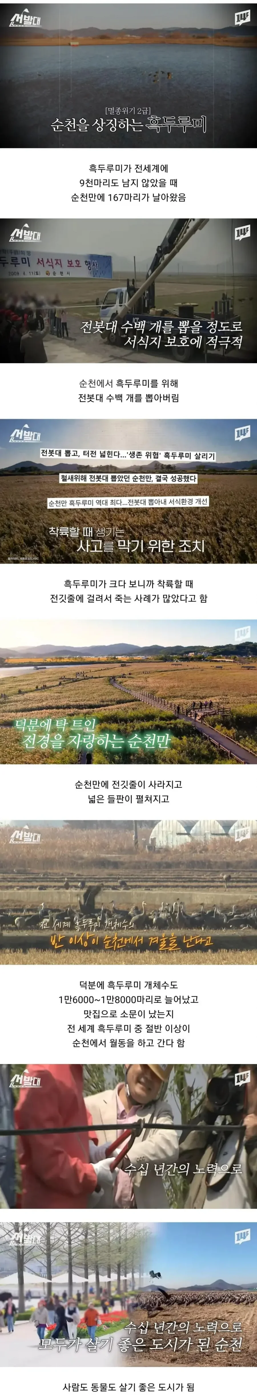 파워볼 분석과 실시간패턴통계