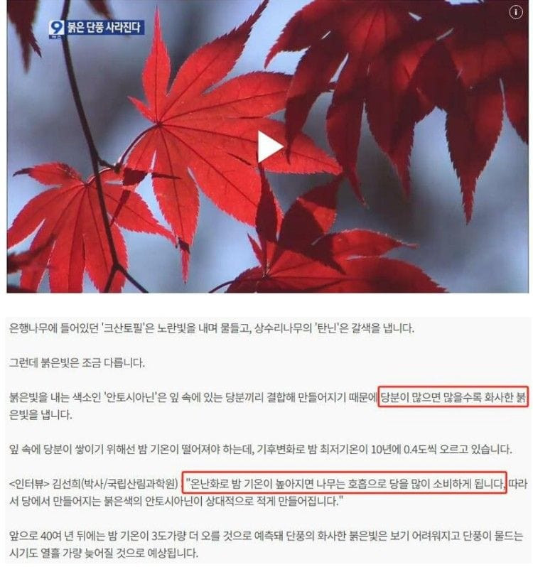 파워볼게임분석기