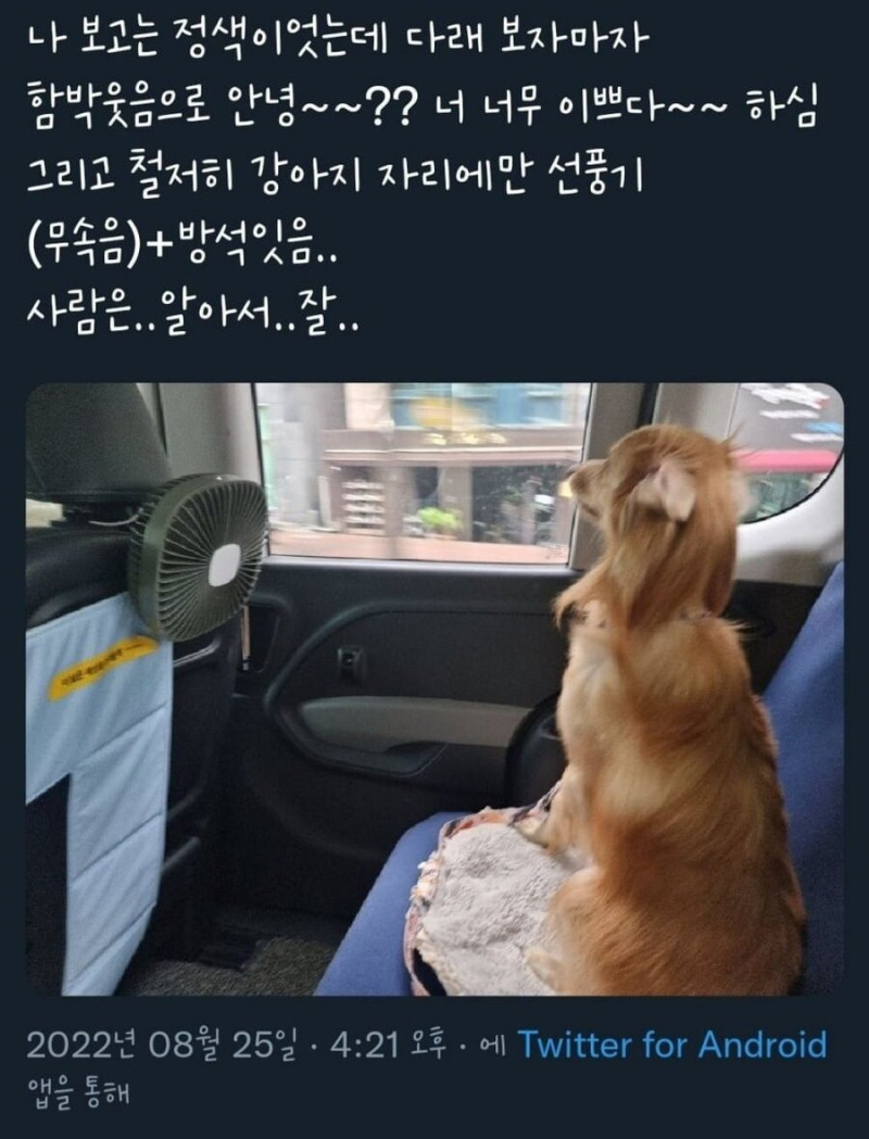 사다리게임통계