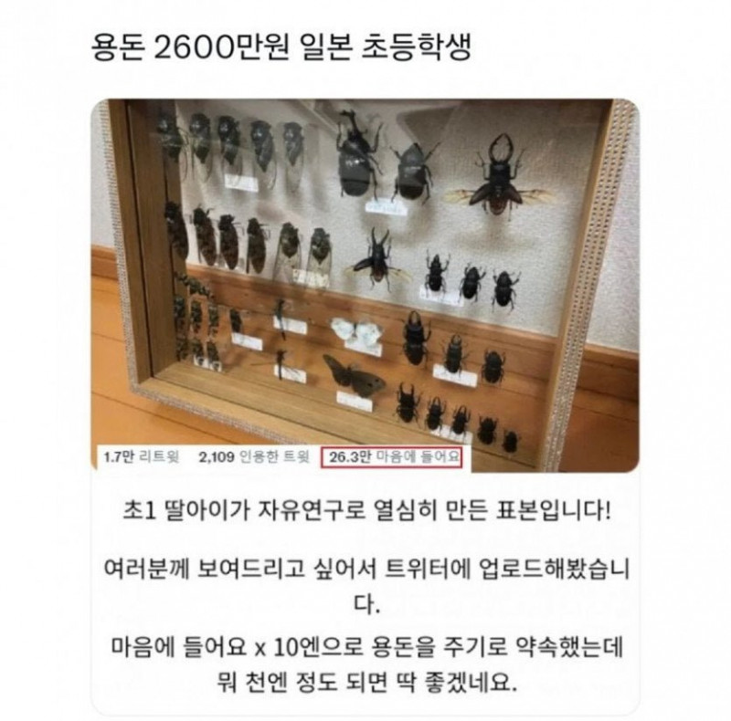 사다리게임