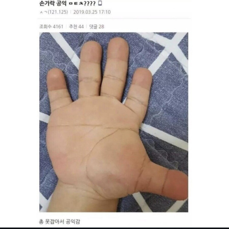 파워볼게임픽분석