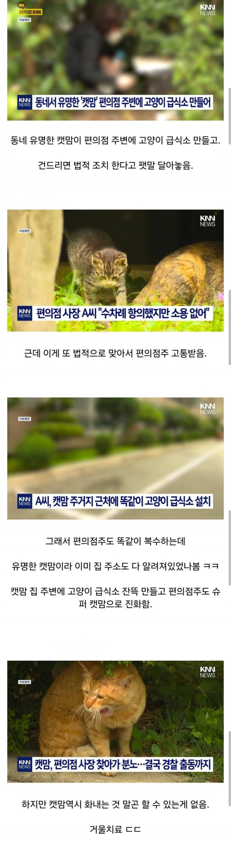 달팽이게임통계