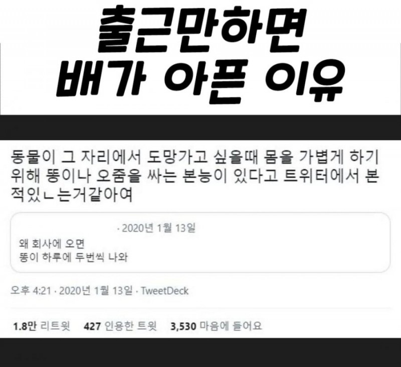 파워볼게임통계