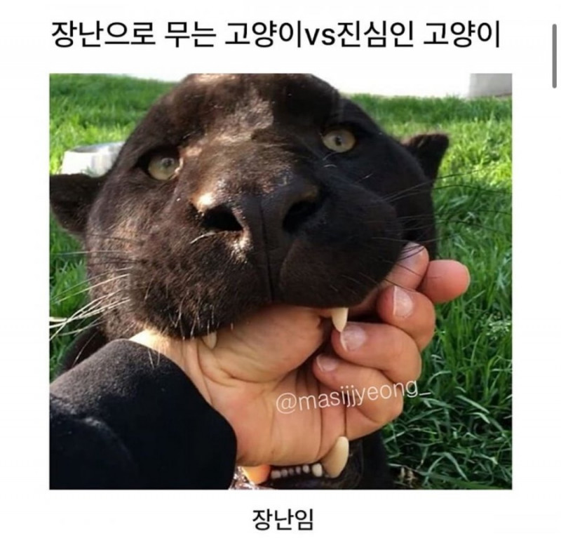 사다리게임통계