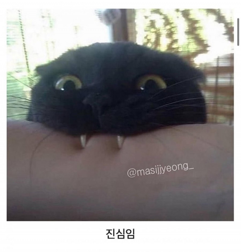 통축