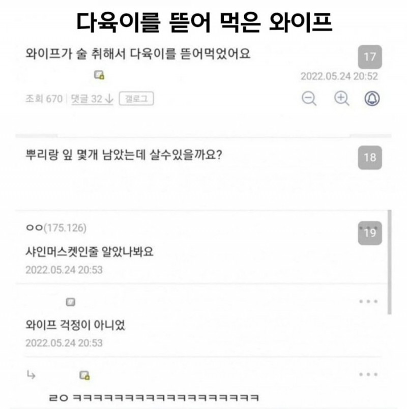 파워볼게임분석기