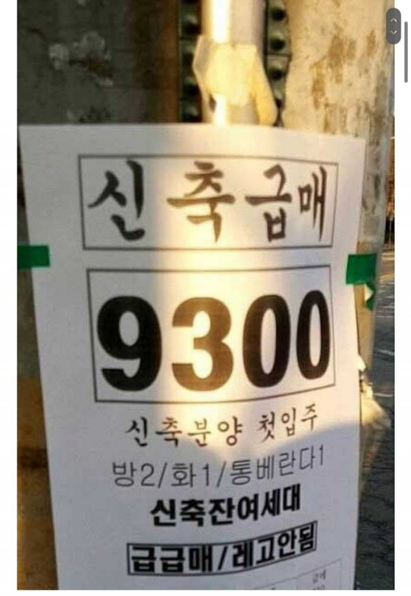 달팽이게임픽분석