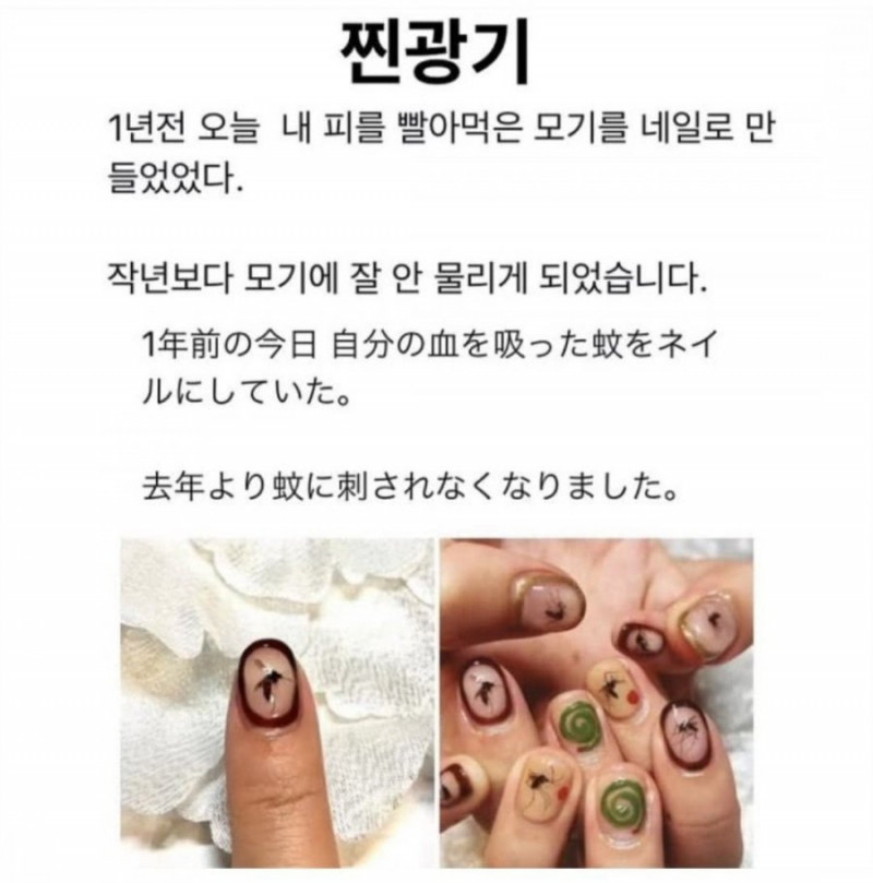 사다리 분석과 실시간패턴통계