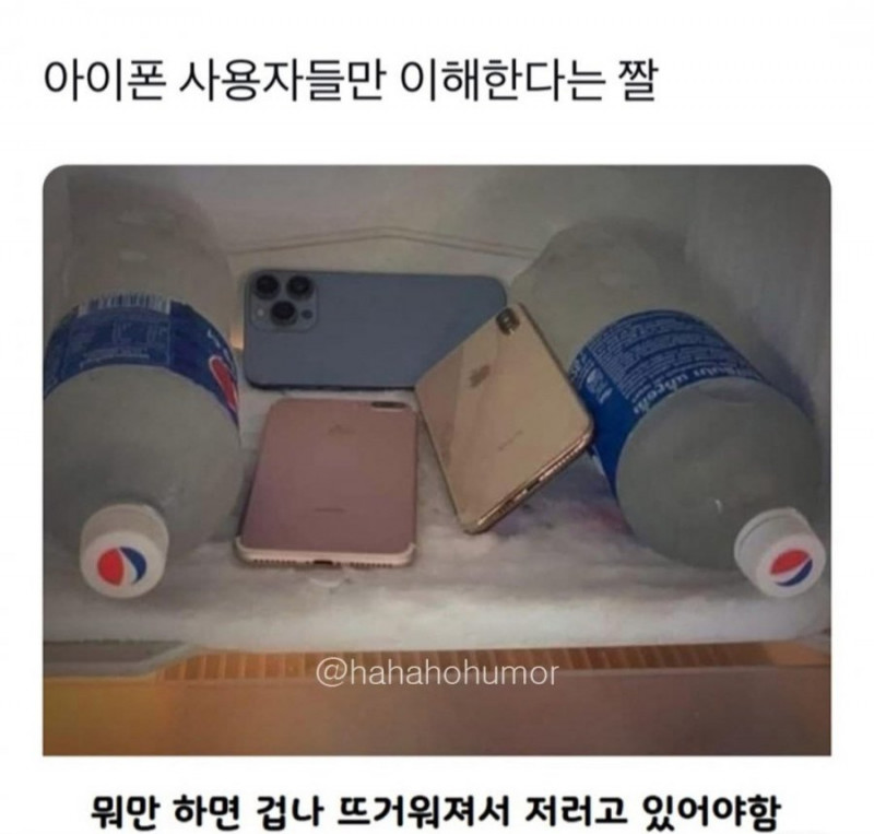 달팽이필승