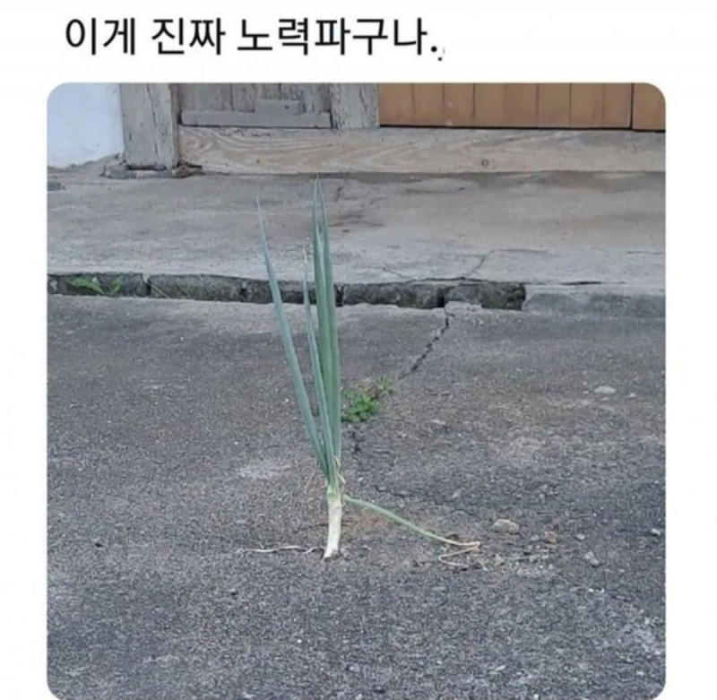 파워볼게임픽