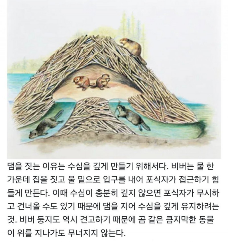 파워볼게임통계