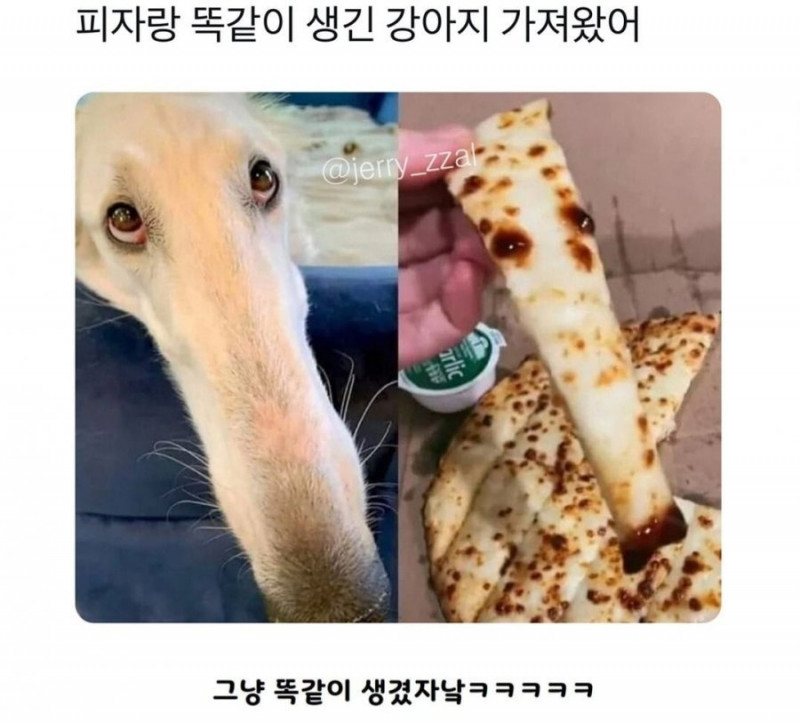 달팽이게임픽분석