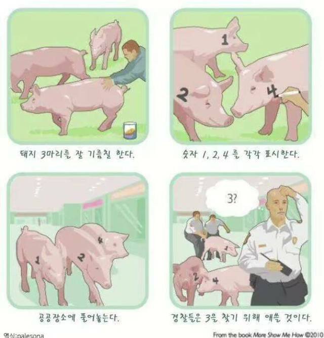 파워볼 분석과 실시간패턴통계