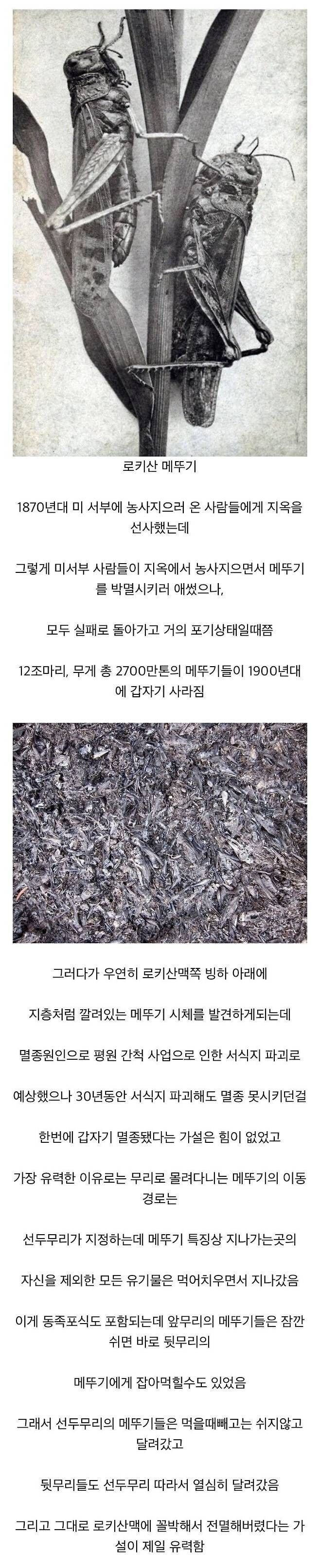 파워볼게임픽게임