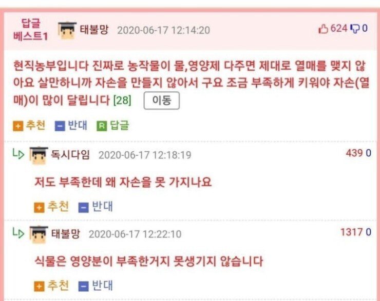 파워볼 분석과 실시간패턴통계