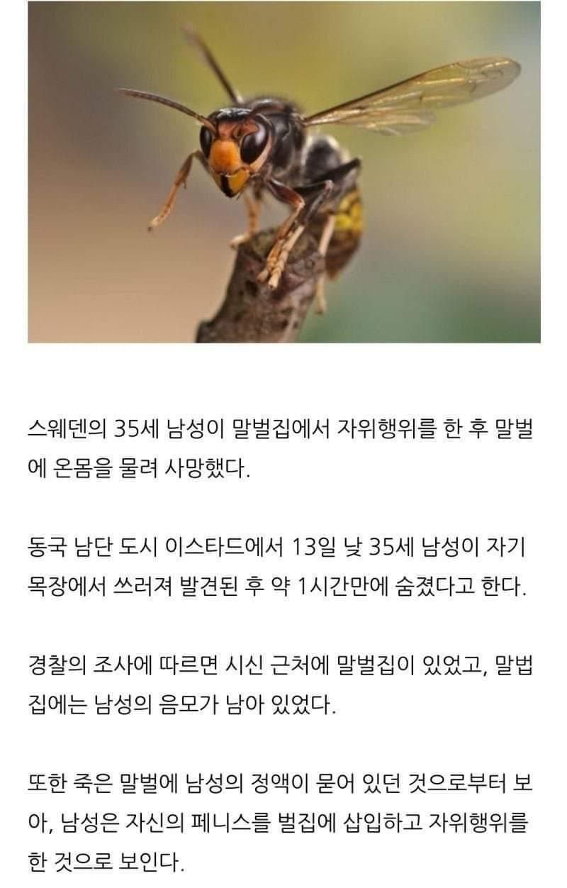 파워볼게임통계