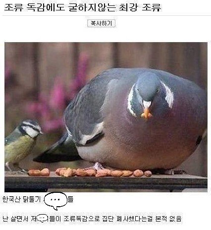 달팽이필승