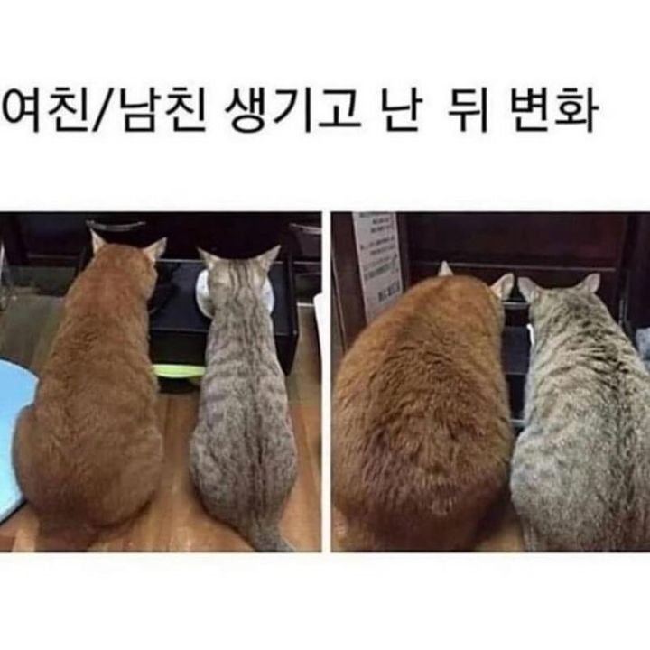 파워볼게임픽분석