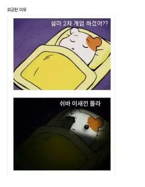 파워볼