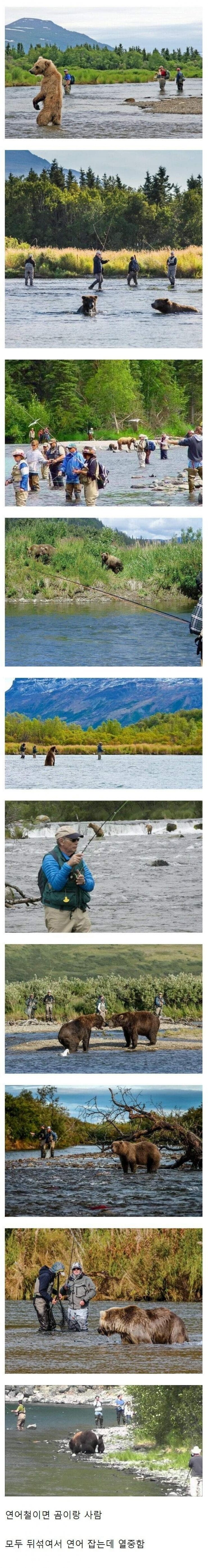 달팽이게임분석기