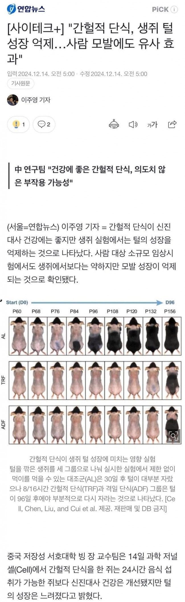 사다리게임분석