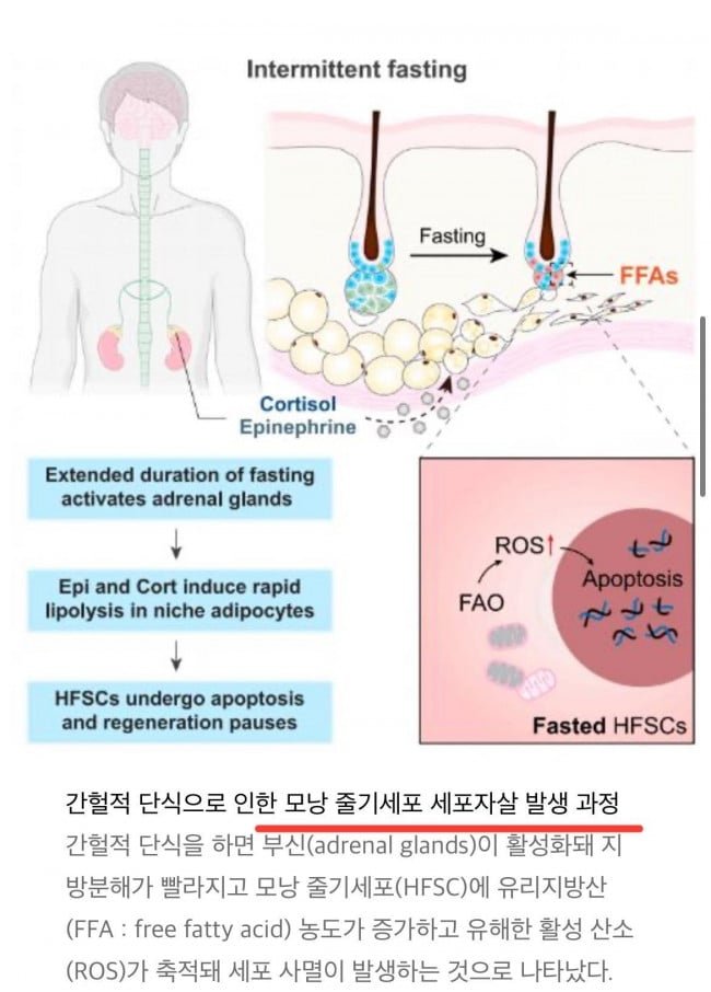 성인게임