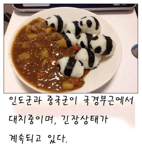 사다리 분석과 실시간패턴통계