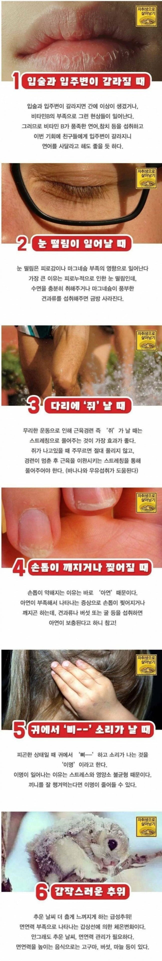 파워볼 분석과 실시간패턴통계