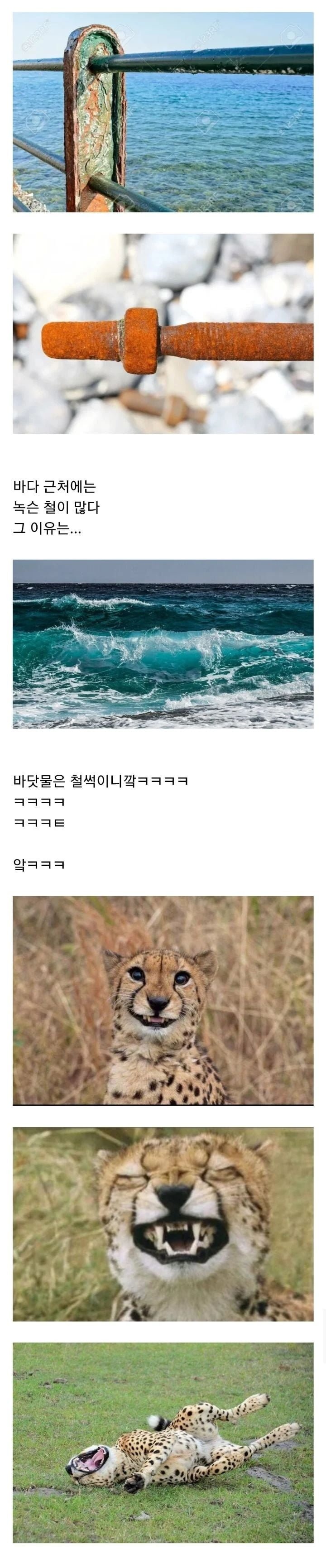 나눔로또 파워볼분석기