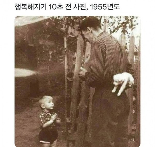 파워볼게임