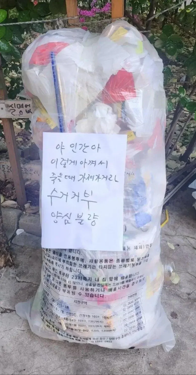 달팽이 분석과 실시간패턴통계