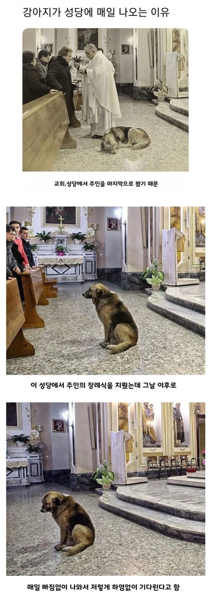 파워볼게임픽분석