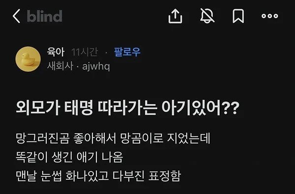 달팽이게임픽분석