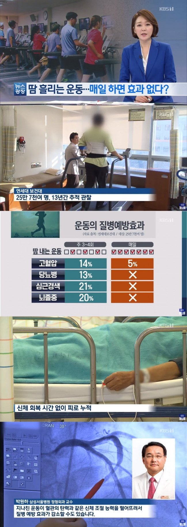 사다리 분석과 실시간패턴통계