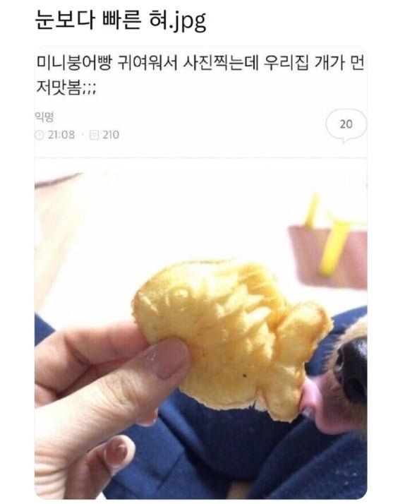 실시간사다리