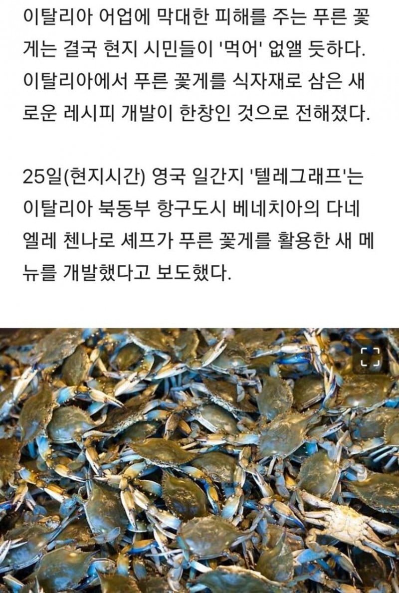 나눔로또