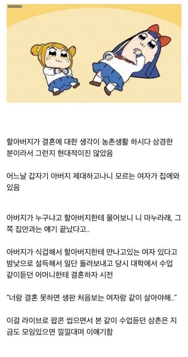 사다리 분석과 실시간패턴통계